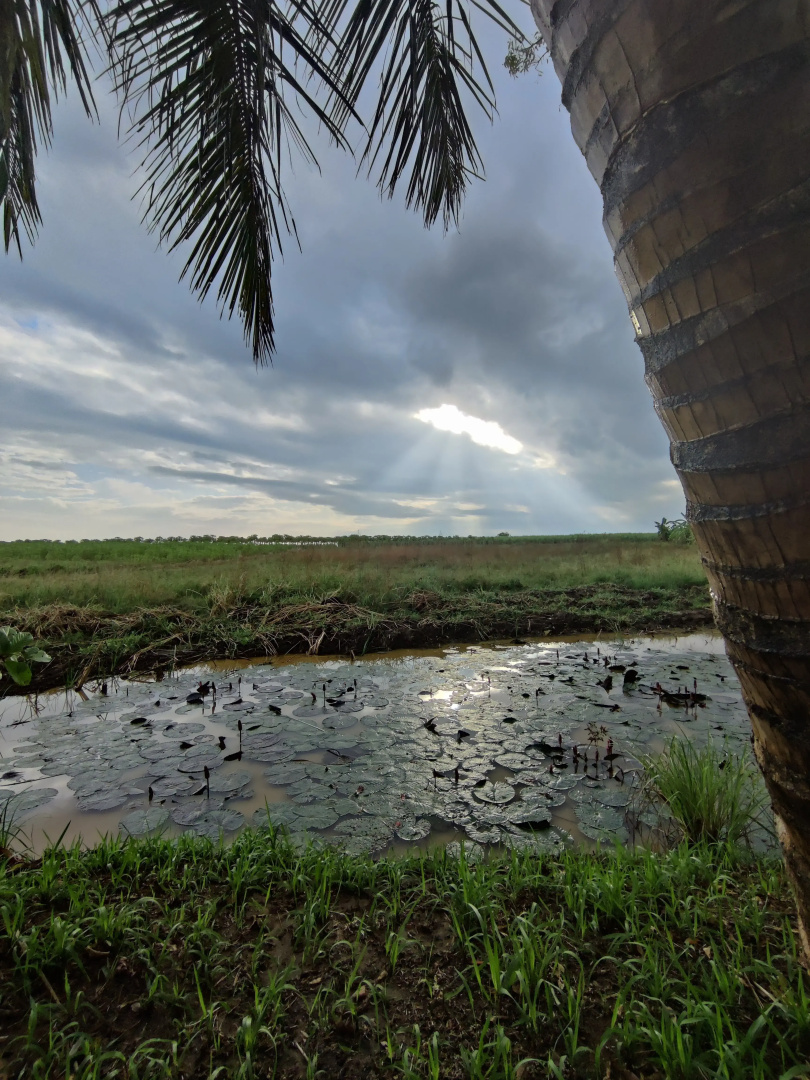 Глэмпинг Harmony Haven in Udawalawe