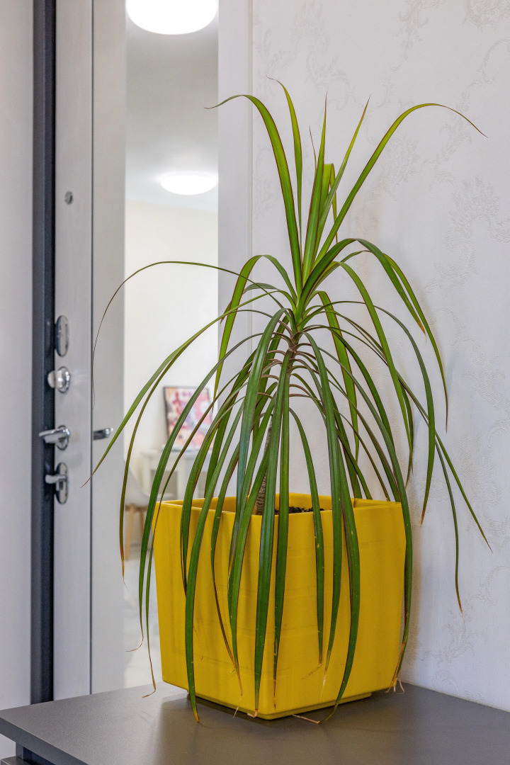 Апартаменты В.Н. Махалина 36