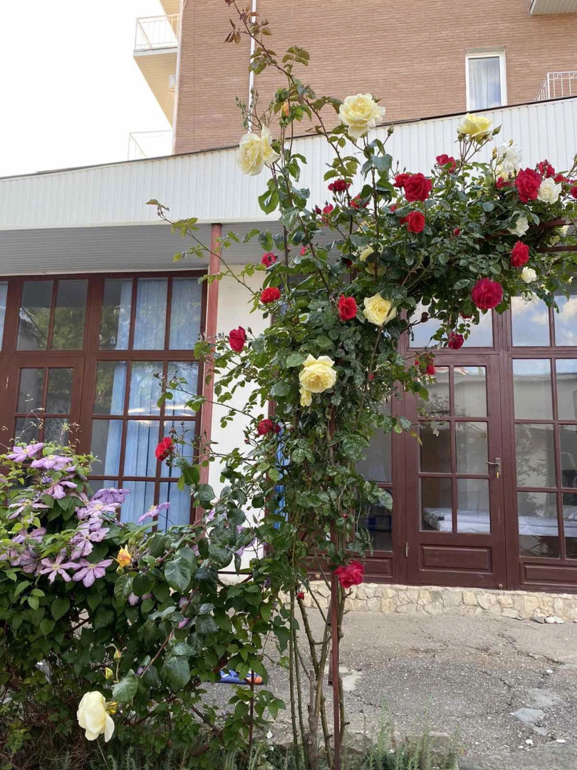 Гостевой дом Камелот