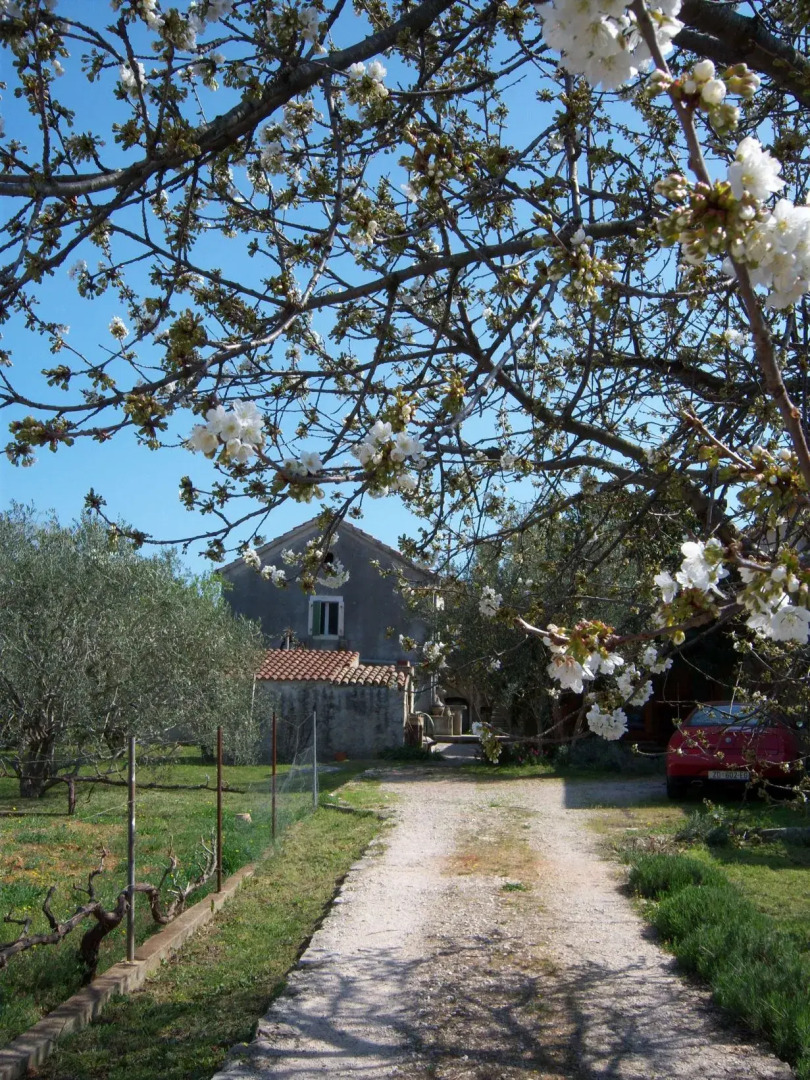 Вилла Stara Frajla