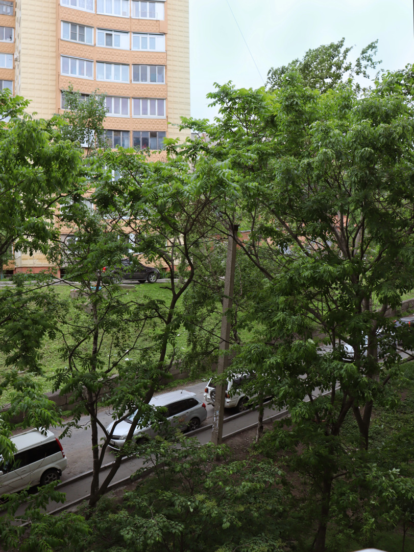 Апартаменты на Океанском проспекте 110