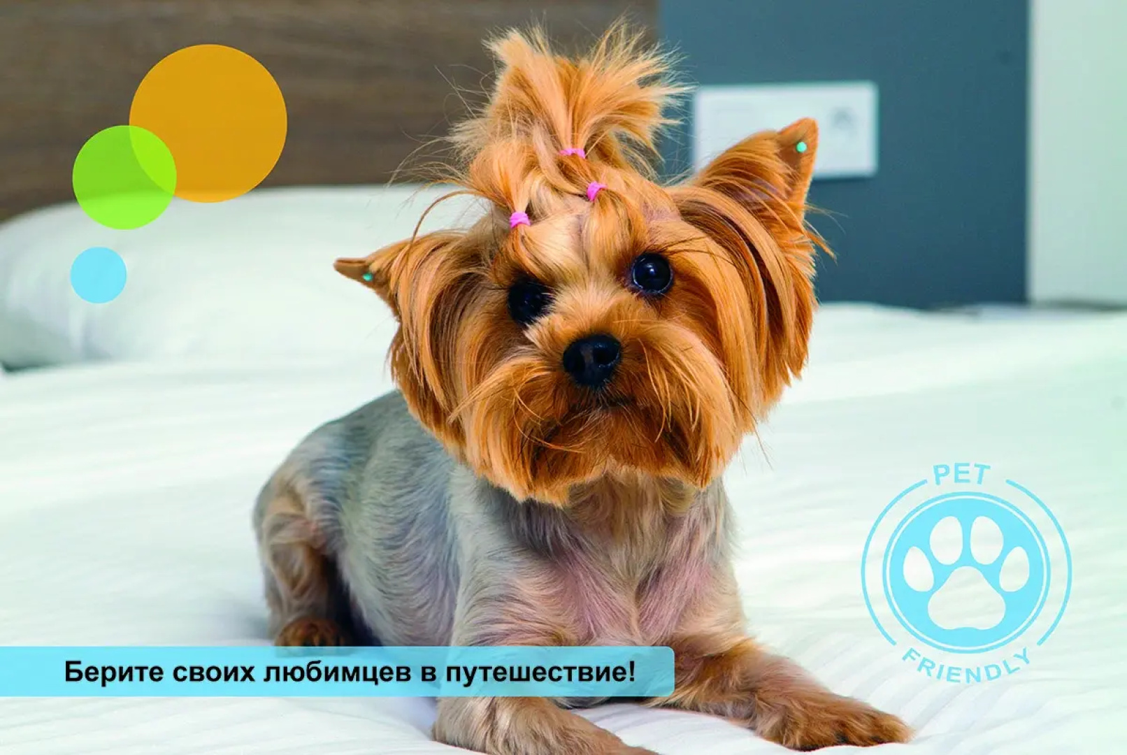 Отель Astra Montale Family