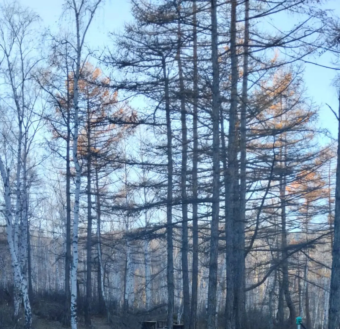 Глэмпинг Наедине