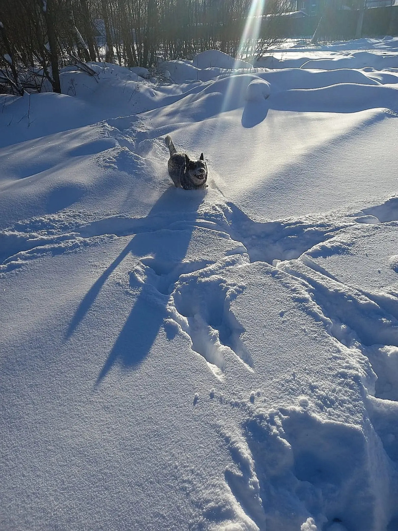 Гостевой дом Окулова Заимка