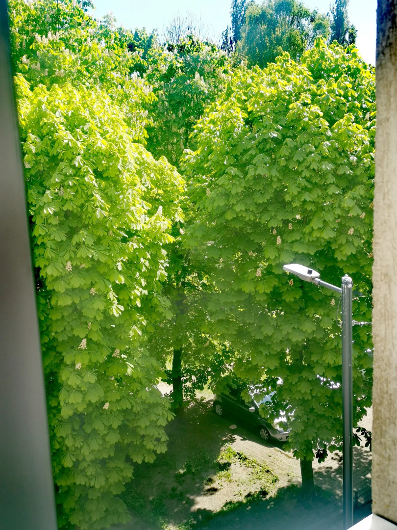 Квартира у Z-форта