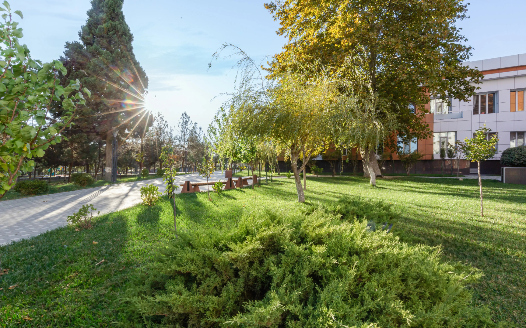 Отель Chinar Health Hotel Naftalan