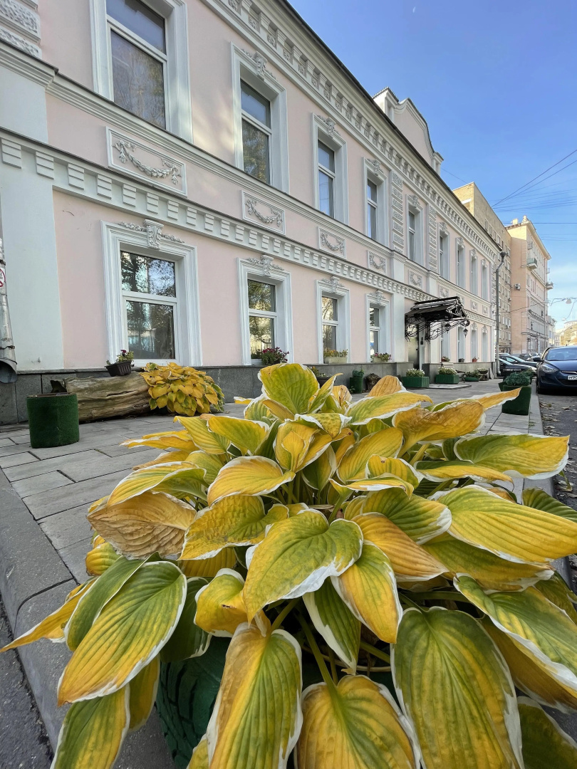 Хостел Artist Hostel на Цветном Бульваре