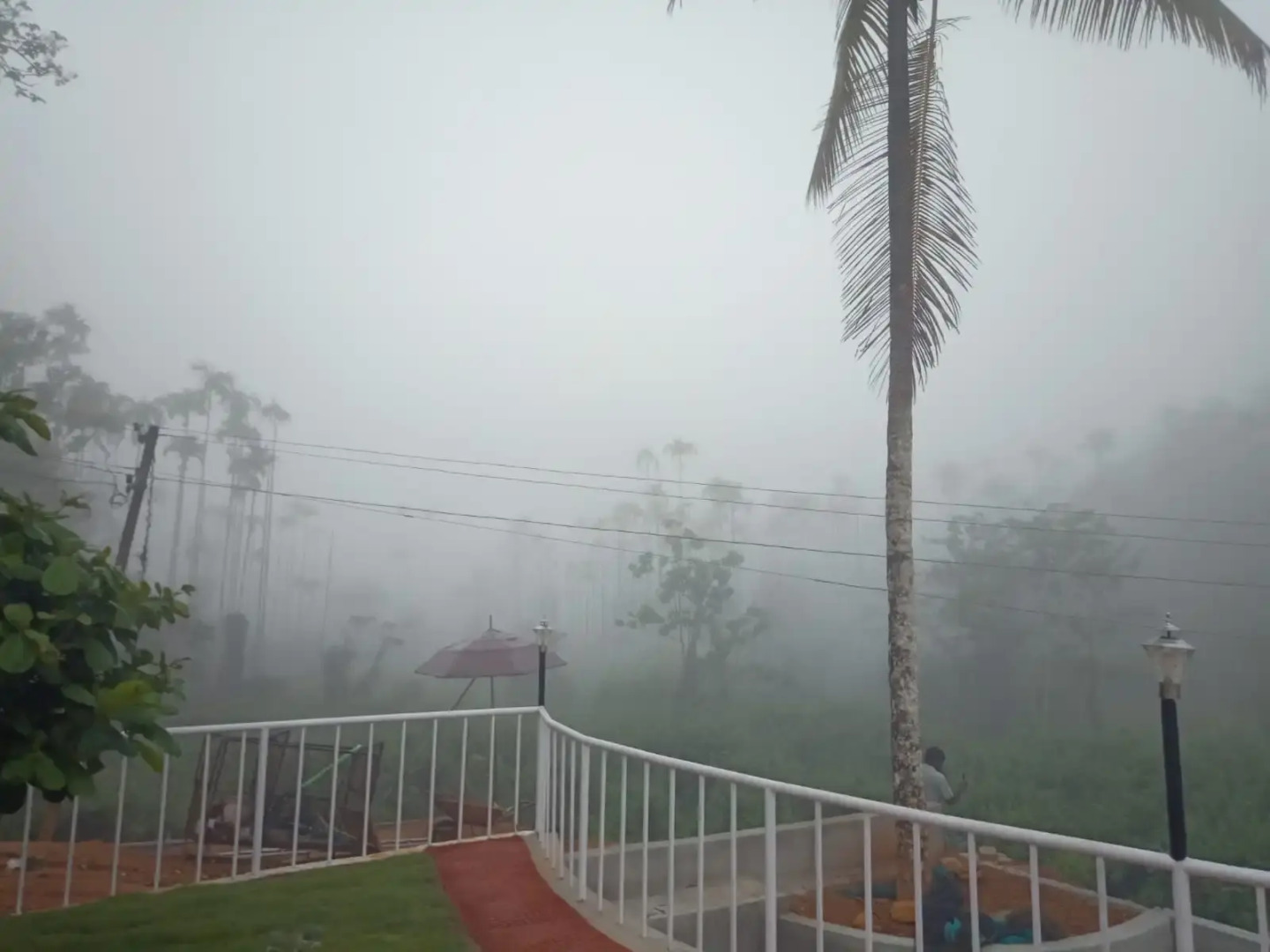 Курортный отель Jungle Valley Resort Wayanad