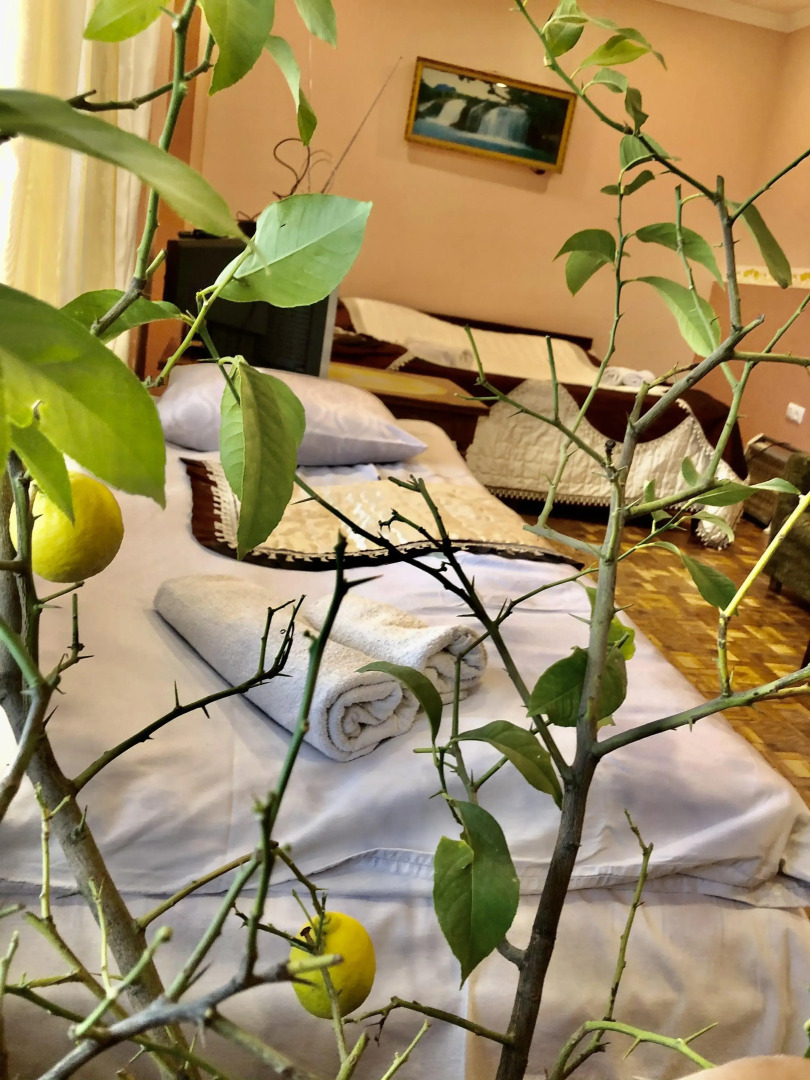 Гостевой дом Guesthouse Anahit Ijevan