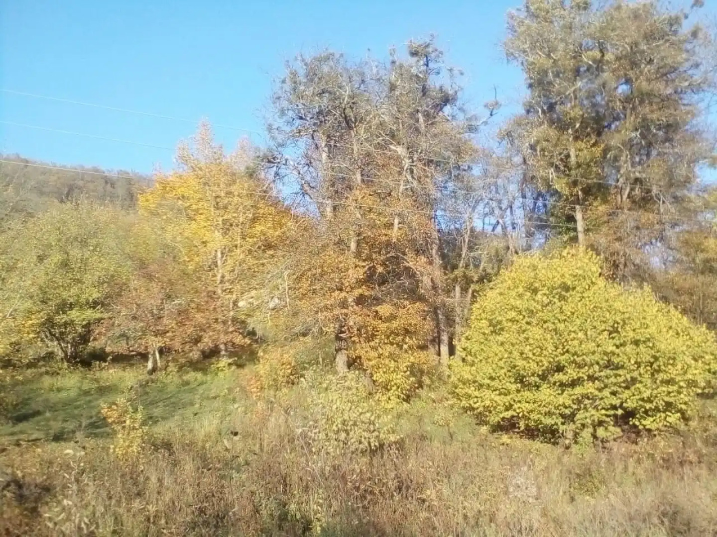 Mini-Hotel Lesnaya Polyana