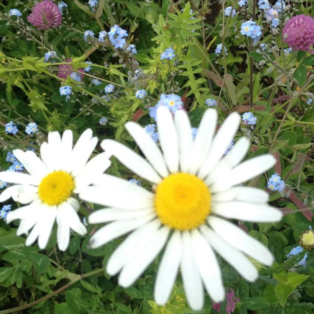 Ферма Колхидские Ворота