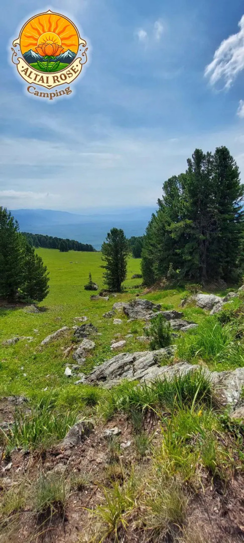 База отдыха Алтайская Роза