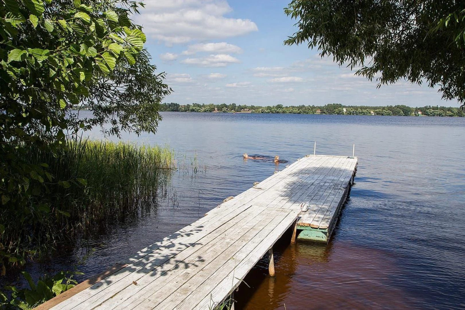 Коттеджи Green Forest Еcoclub
