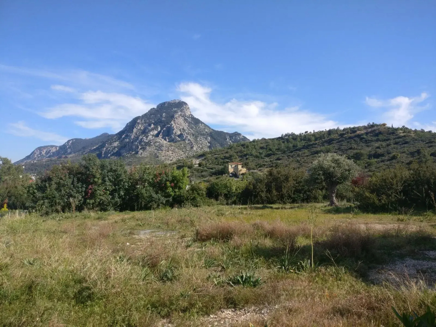 Апартаменты Simo Vacation Rentals