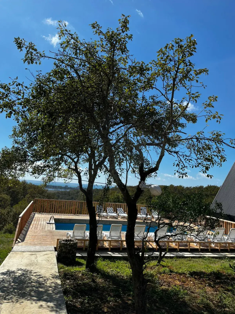 Гостевой Дом Айфреймы Пицунда