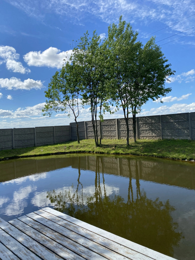 Частный дом Агроусадьба в Орше