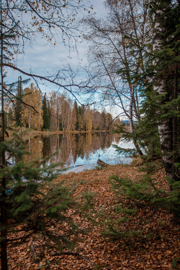 База отдыха Озерки