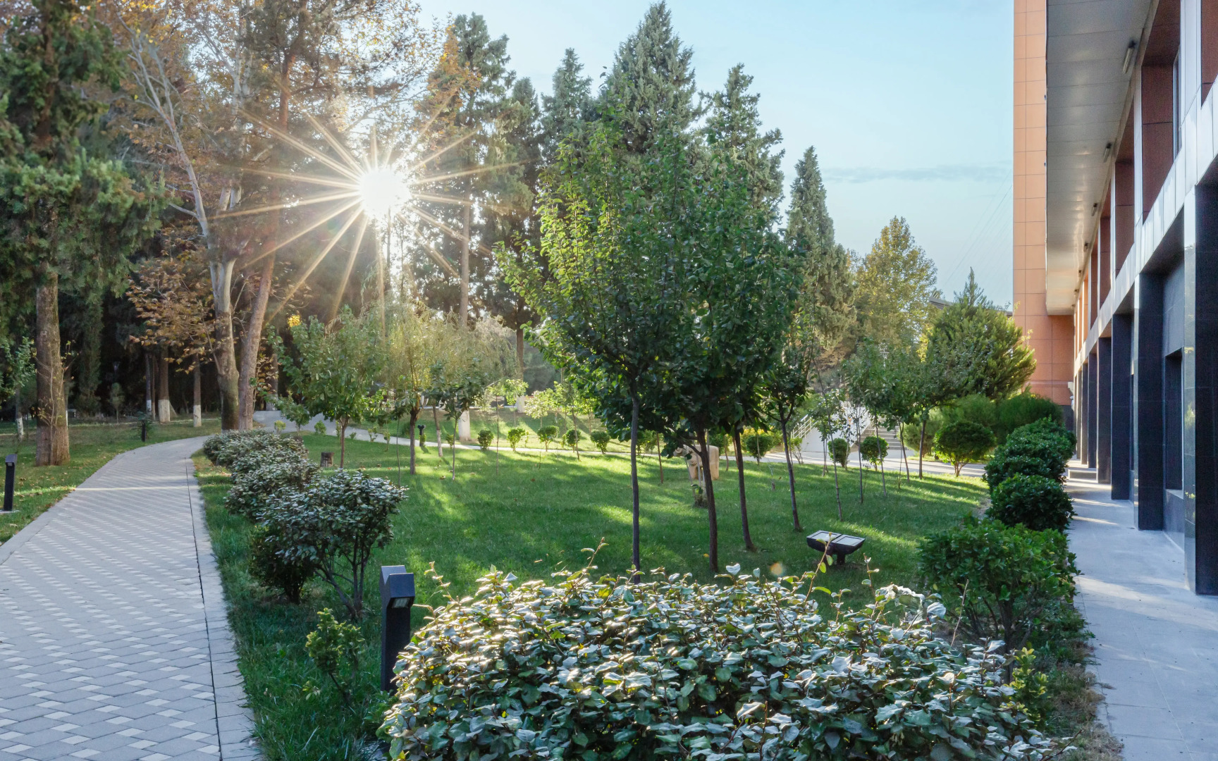 Отель Chinar Health Hotel Naftalan