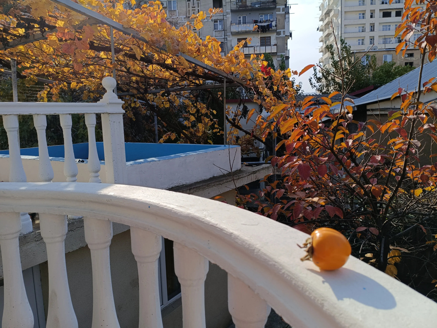 Гостевой Дом Eco-friendly Why Me Tbilisi