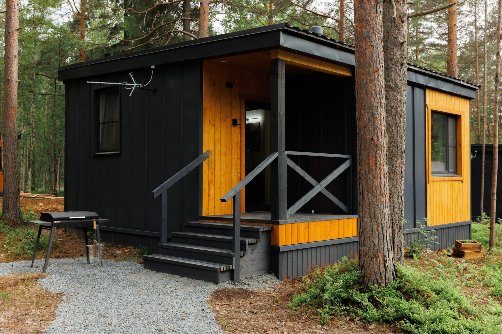 Частный дом Мох 3