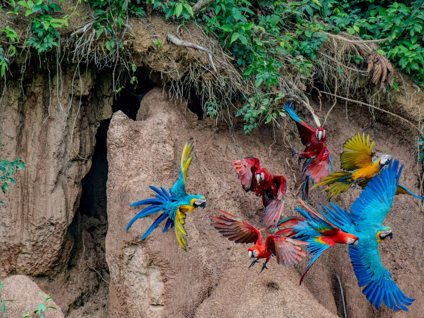 Отель Refugio Amazonas