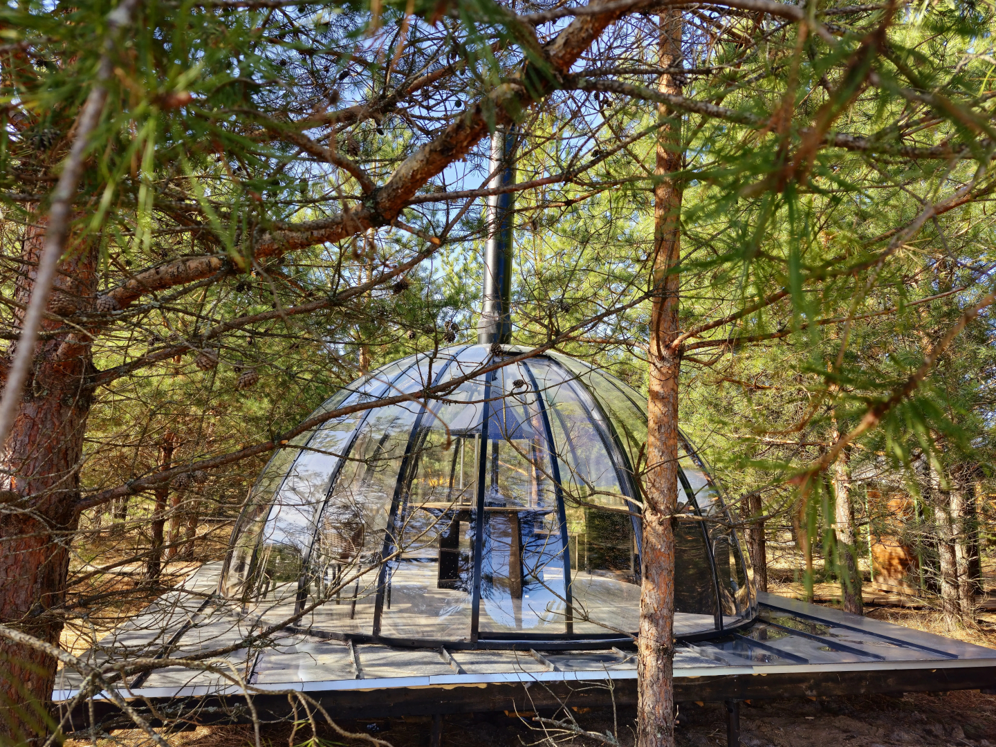 Кемпинг Эко-Парк Шмели