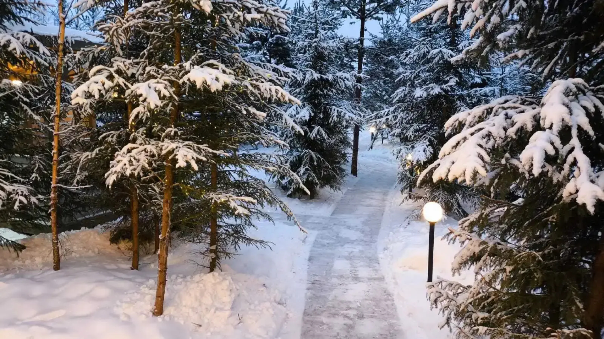 Частный дом Афрейм Лес