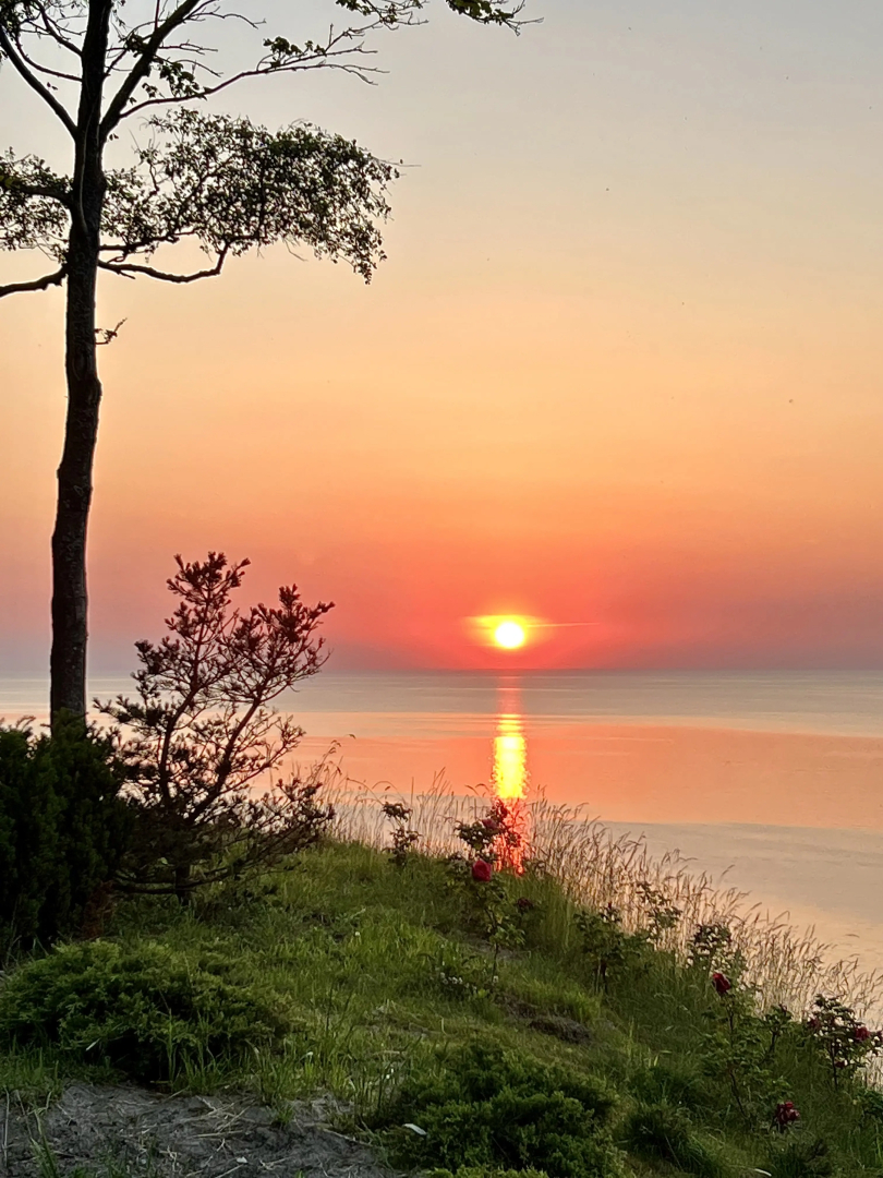 Квартира Уютная квартира в центре Светлогорска