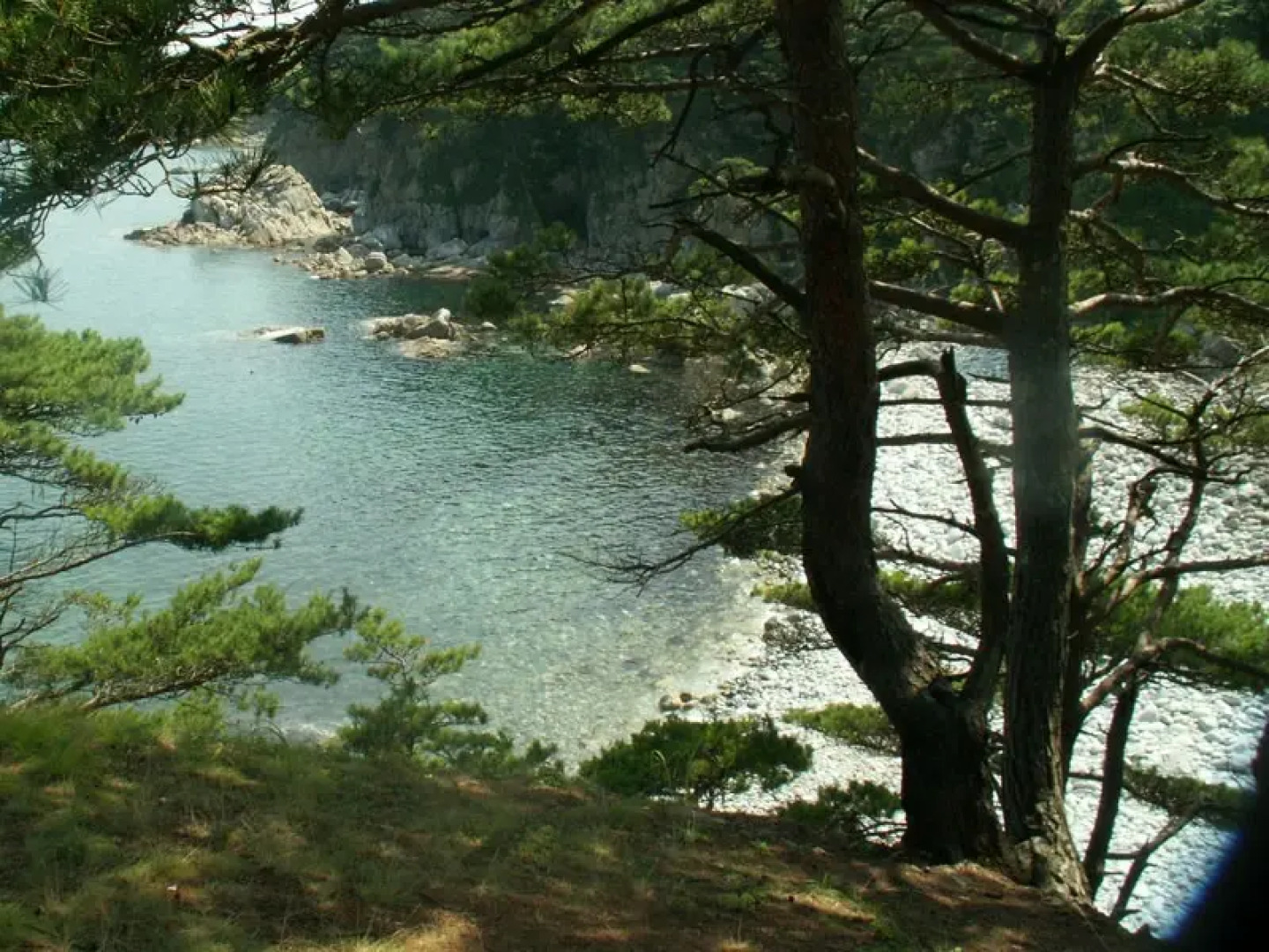 База отдыха Дубовый ключ