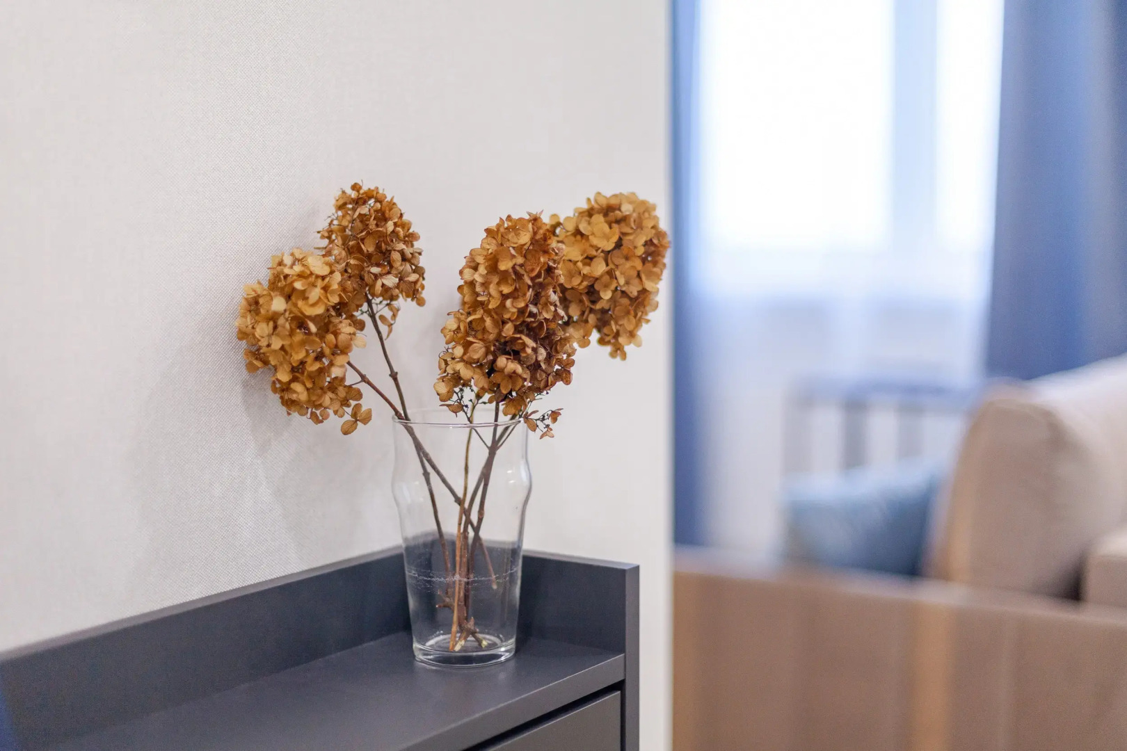 Апартаменты Lux Rentplaza logika