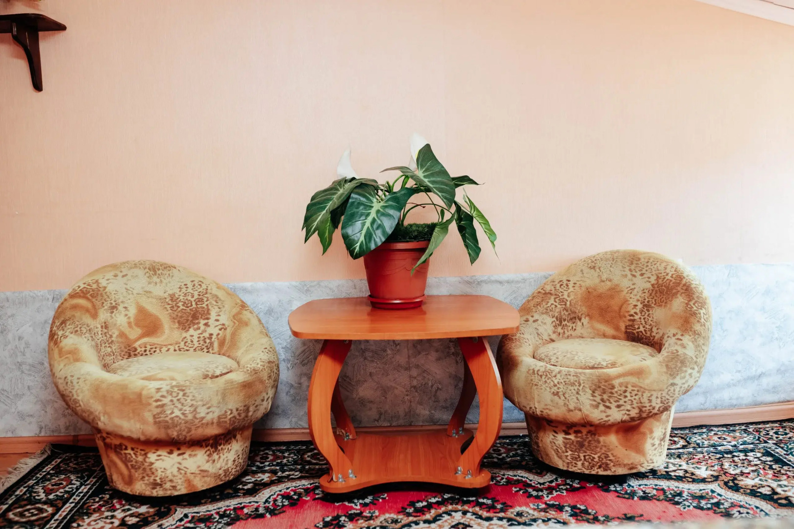 Гостиница Новинка