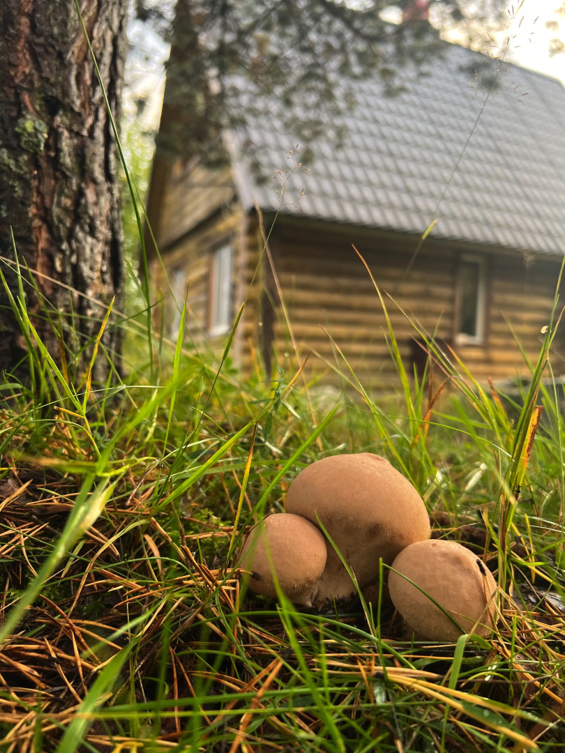 Гостевой дом Ладога Рядом
