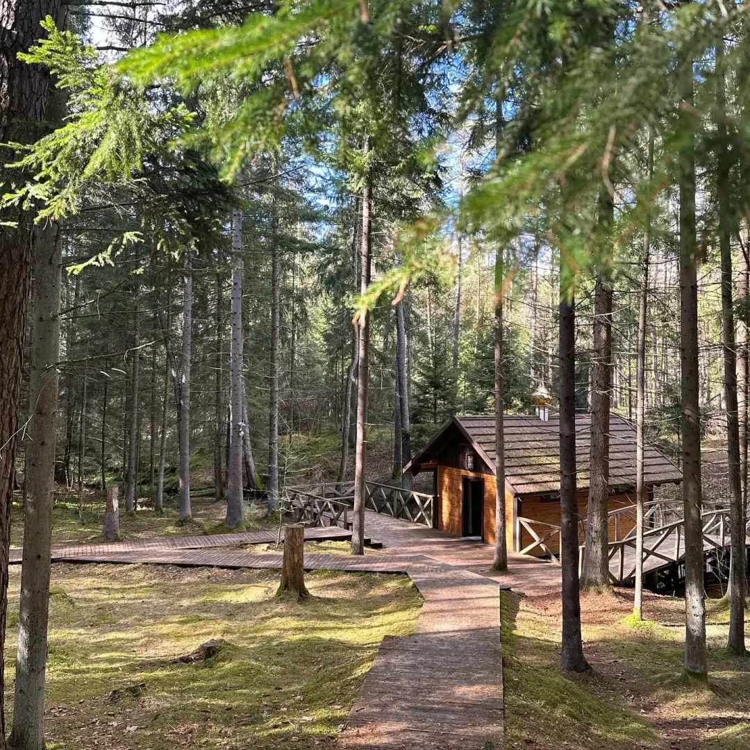 Парк-Отель Яркий