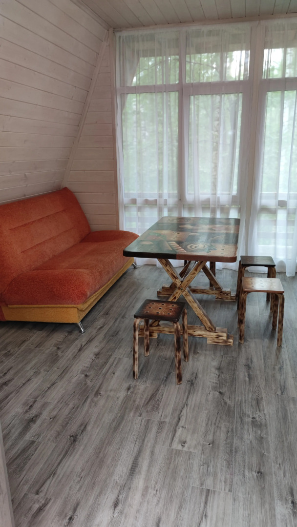 Частный дом Пряня