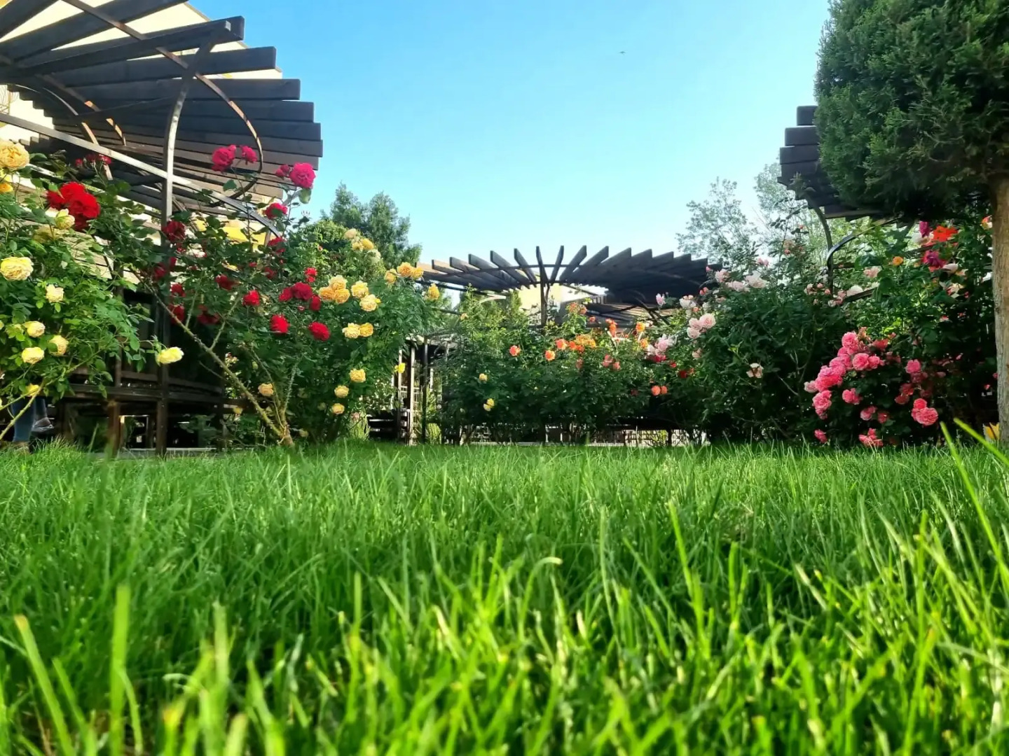 Курортный отель Гелиопарк Аква Резорт