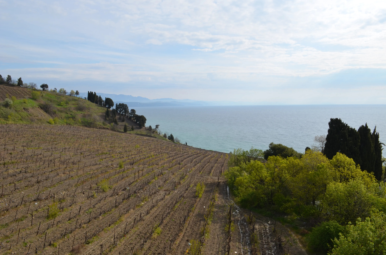 Гостевой дом Селена