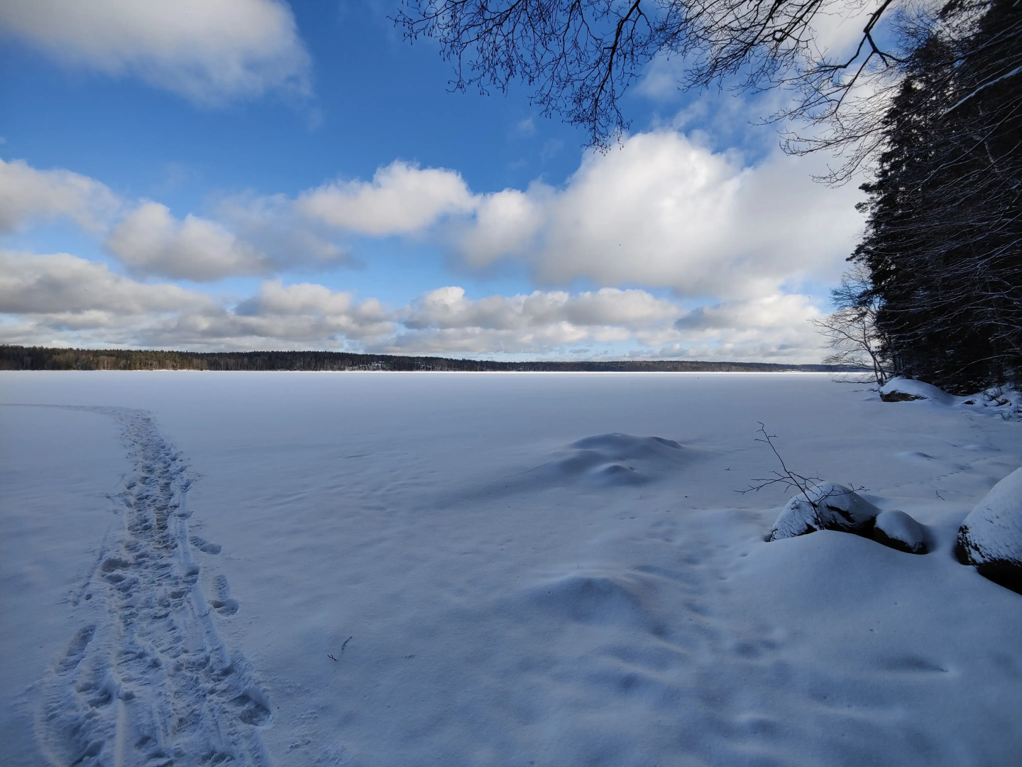 Частный дом Лес и Озеро