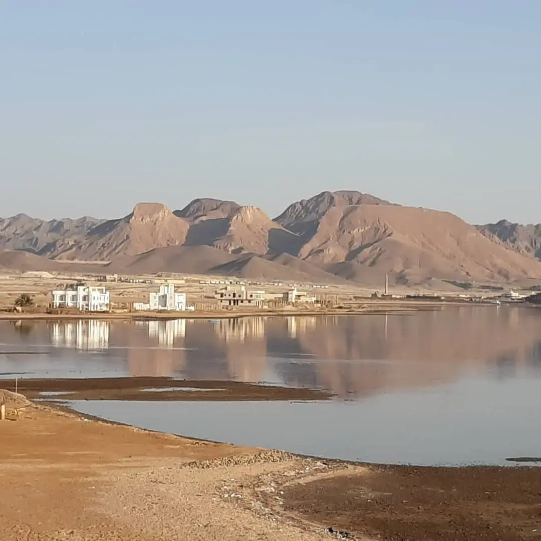 Апартаменты Coral Paradise Villa