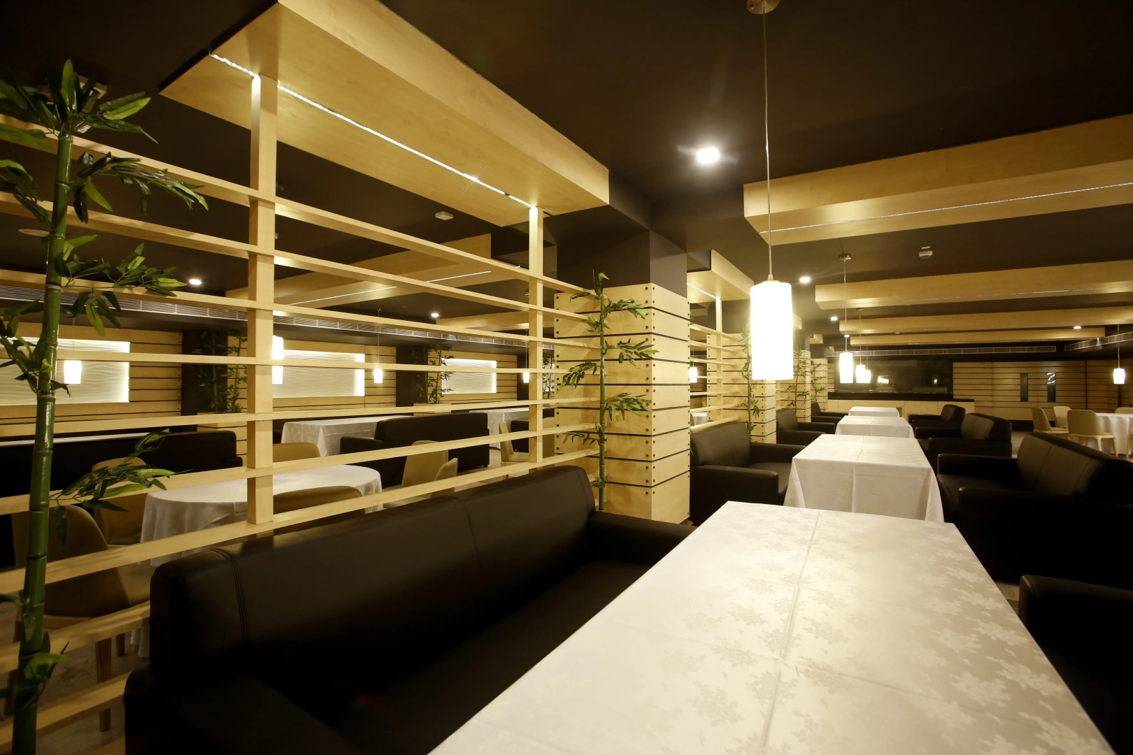 Отель Patliputra Continental