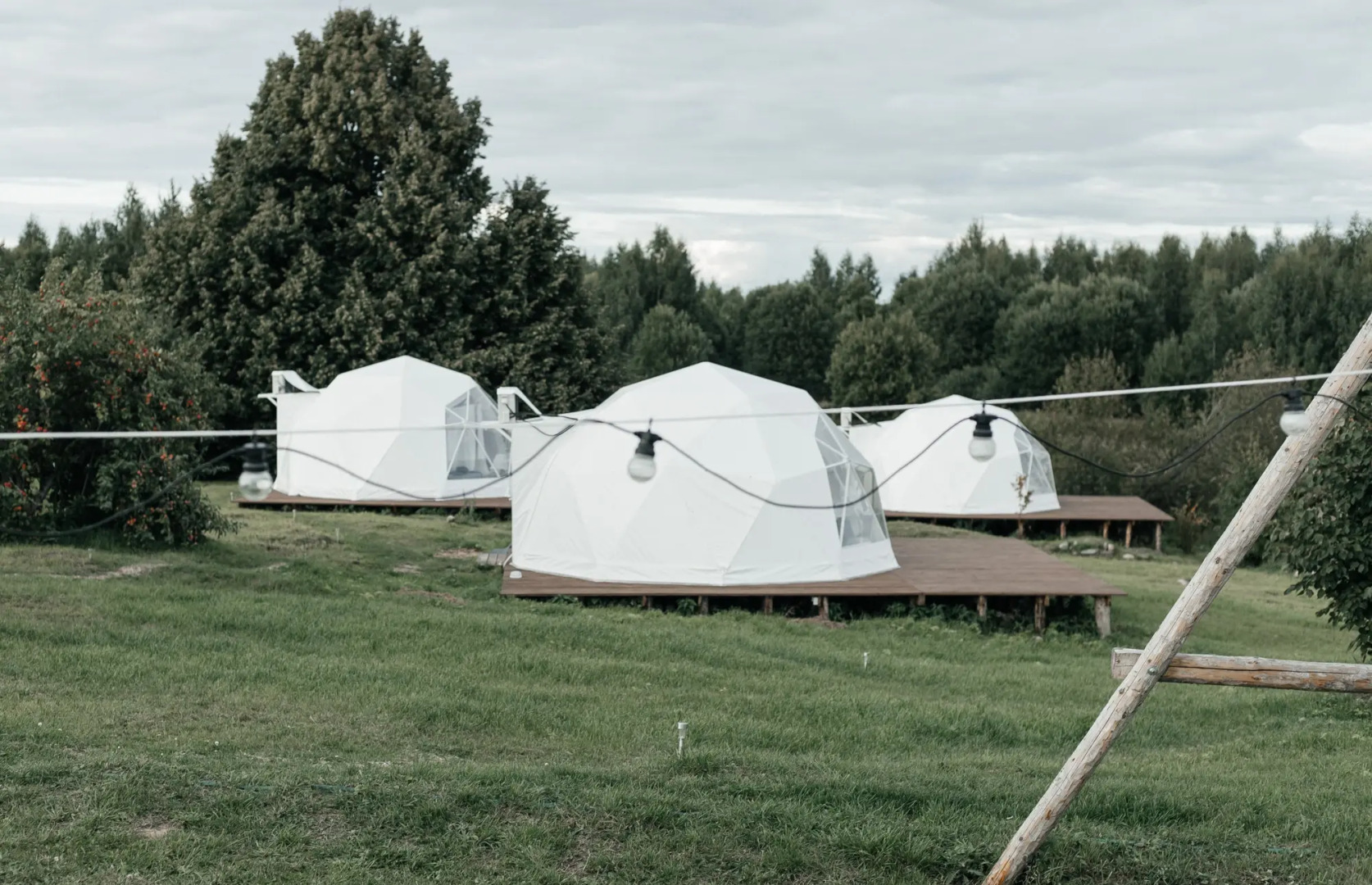 Глэмпинг Дача Липы