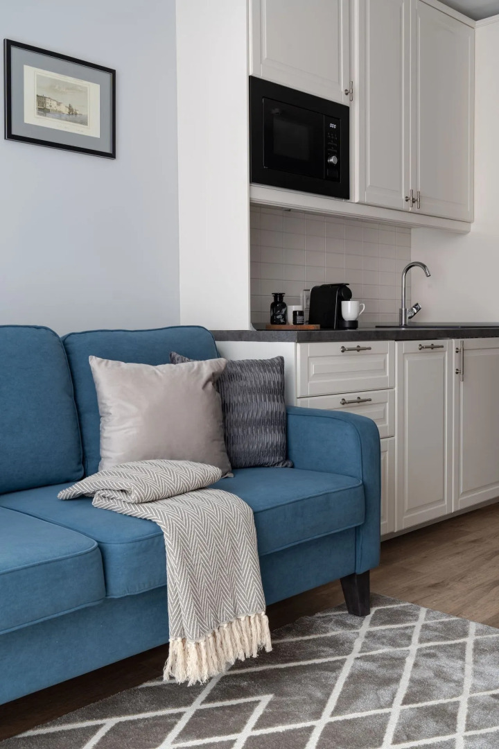 Отель Dionis Art