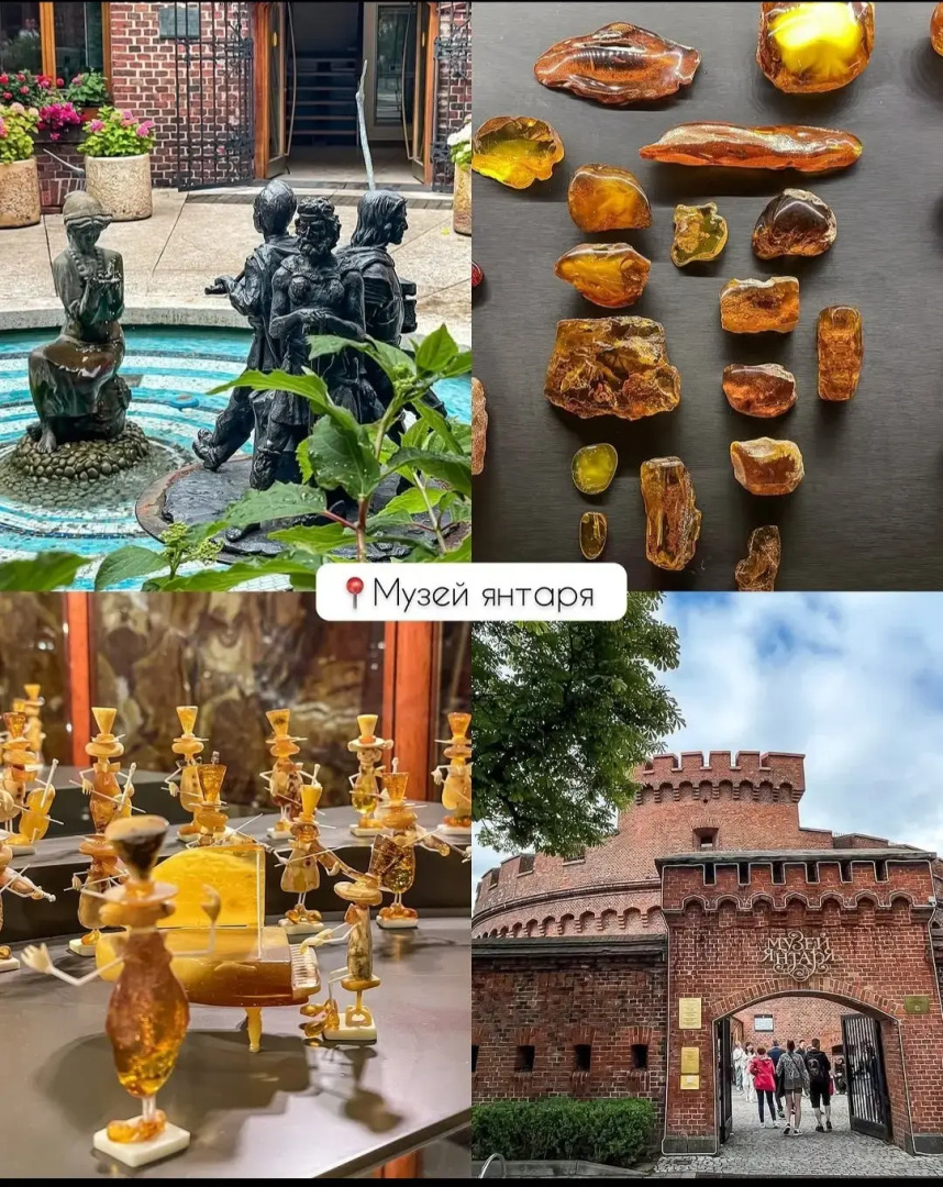 Апартаменты Ariel у Музея Мирового океана