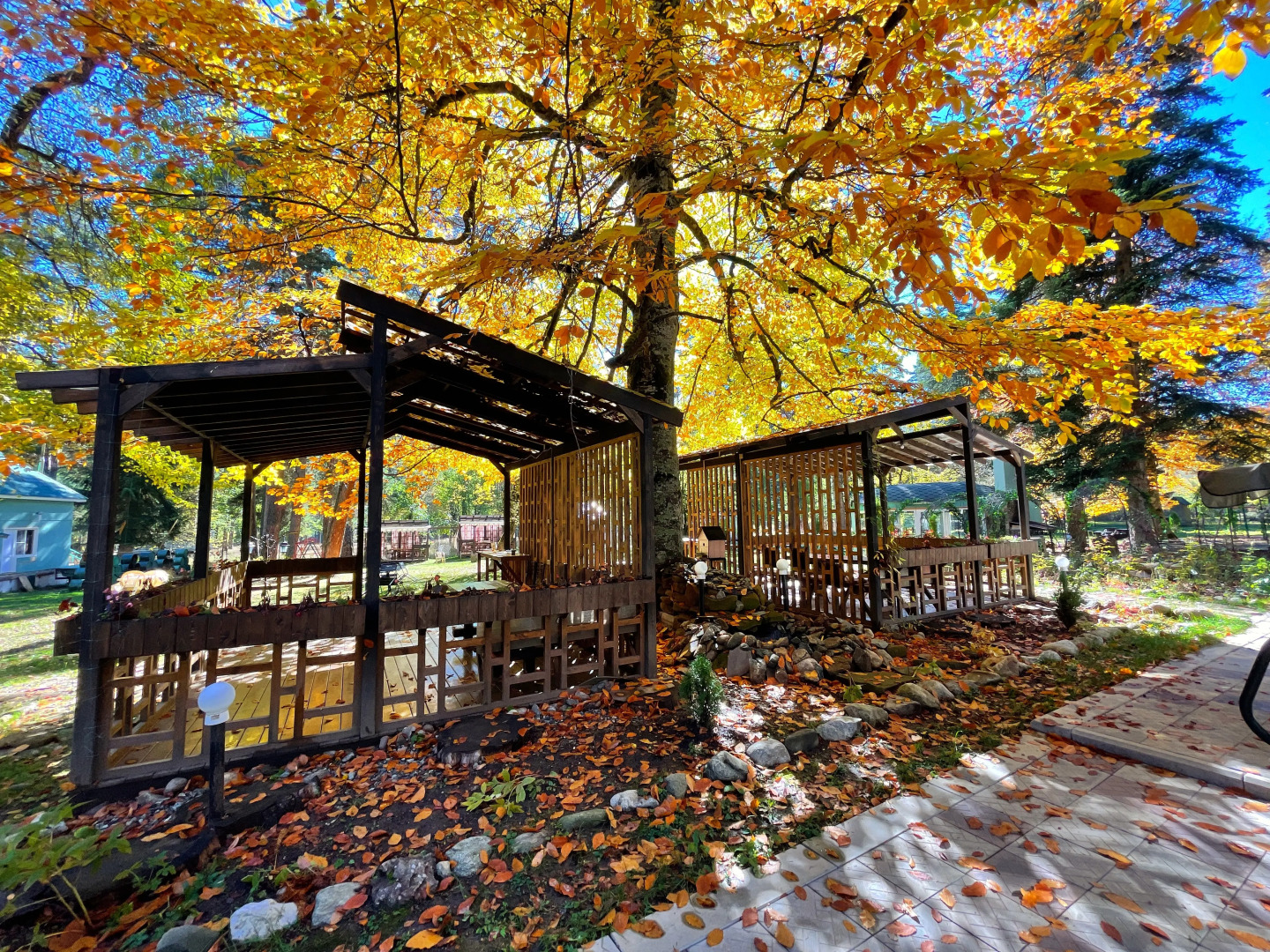 Отель Green Park Spa & Усадьба