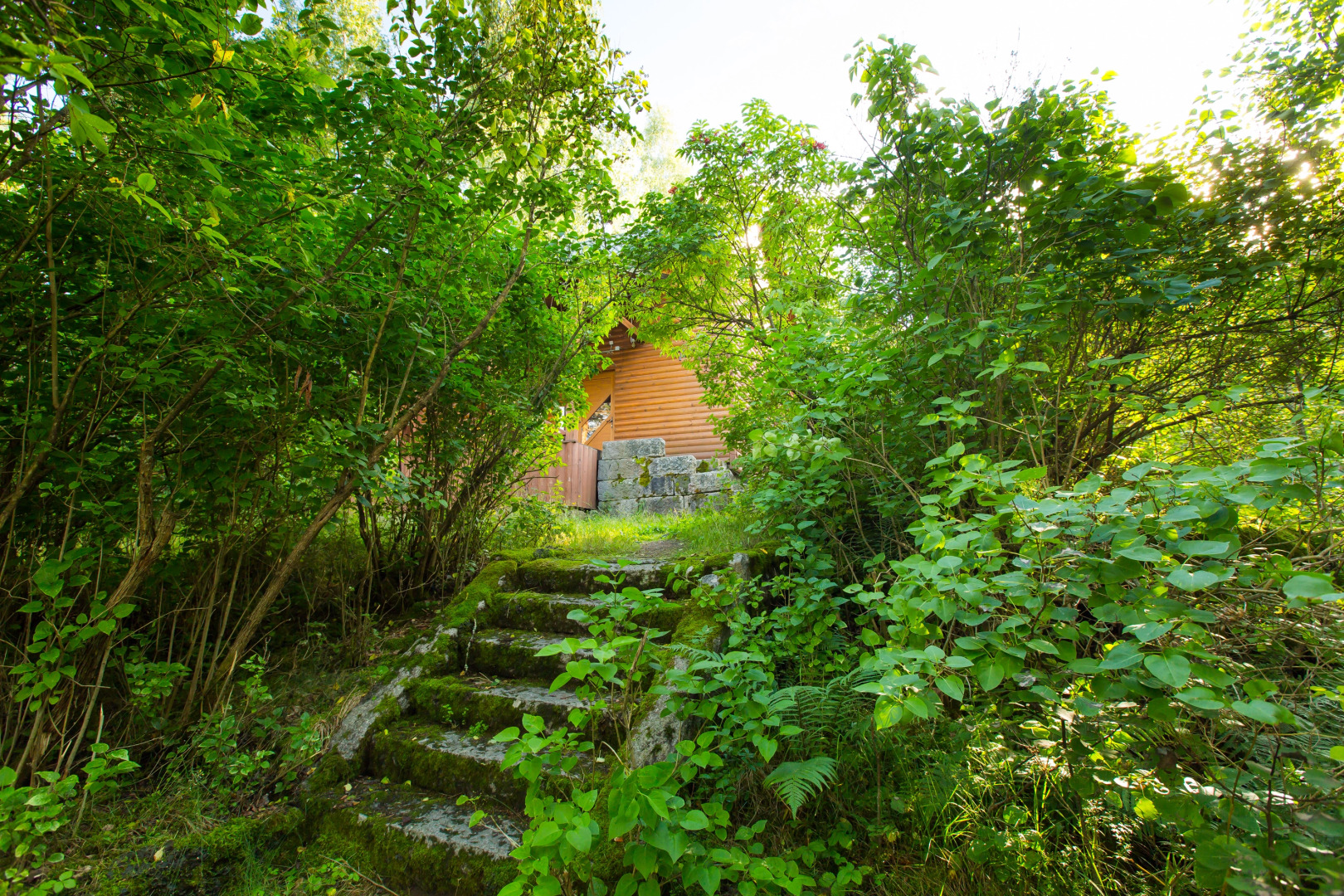 База отдыха Лесная Сказка