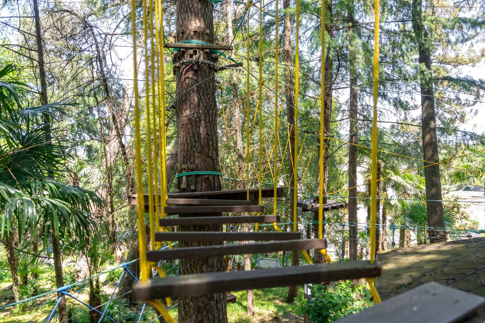 Пансионат с лечением Сокол