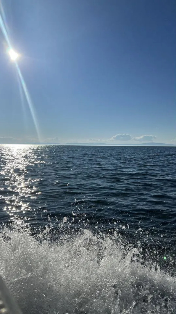 Апартаменты  Green Day