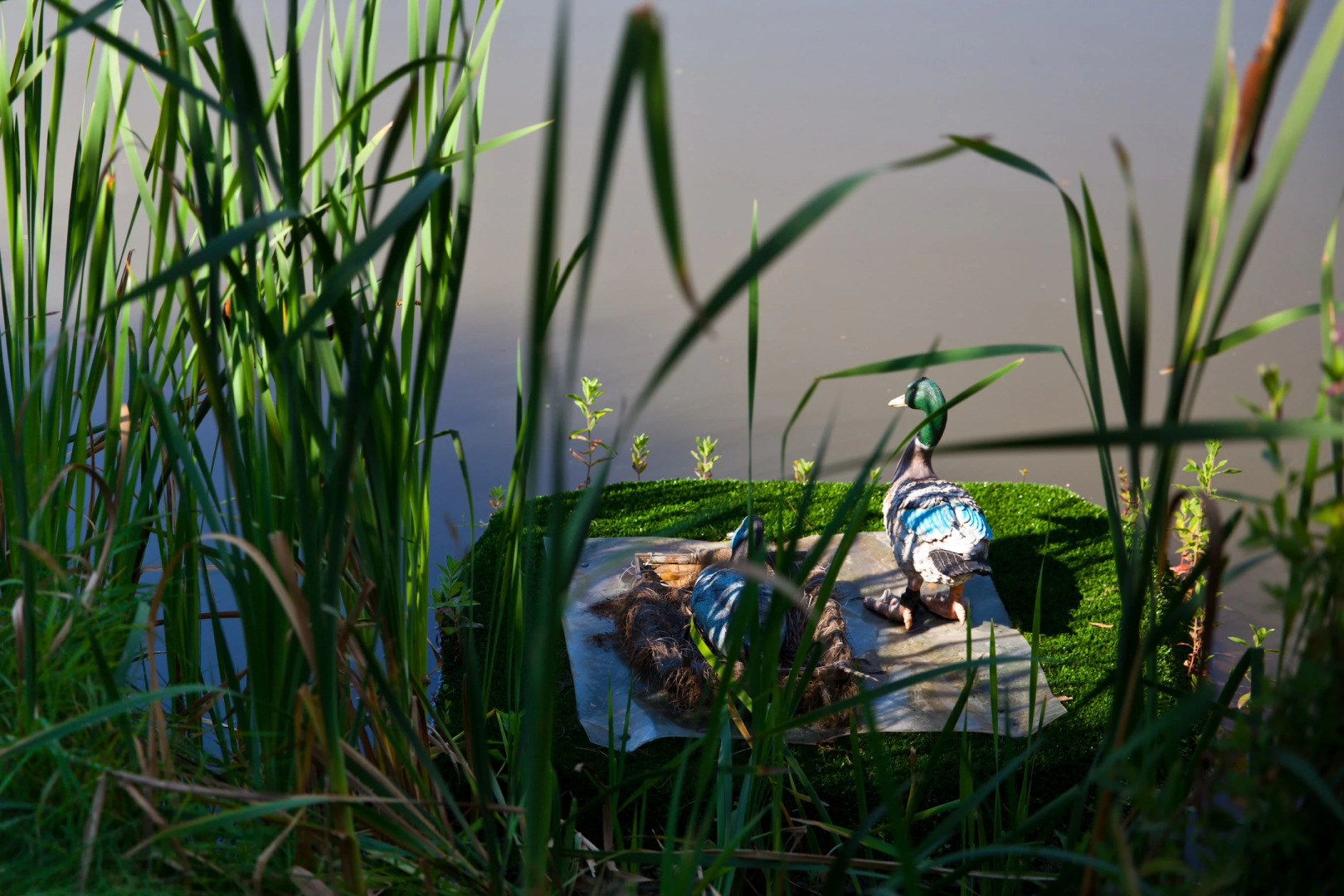 Отель Петро Спорт