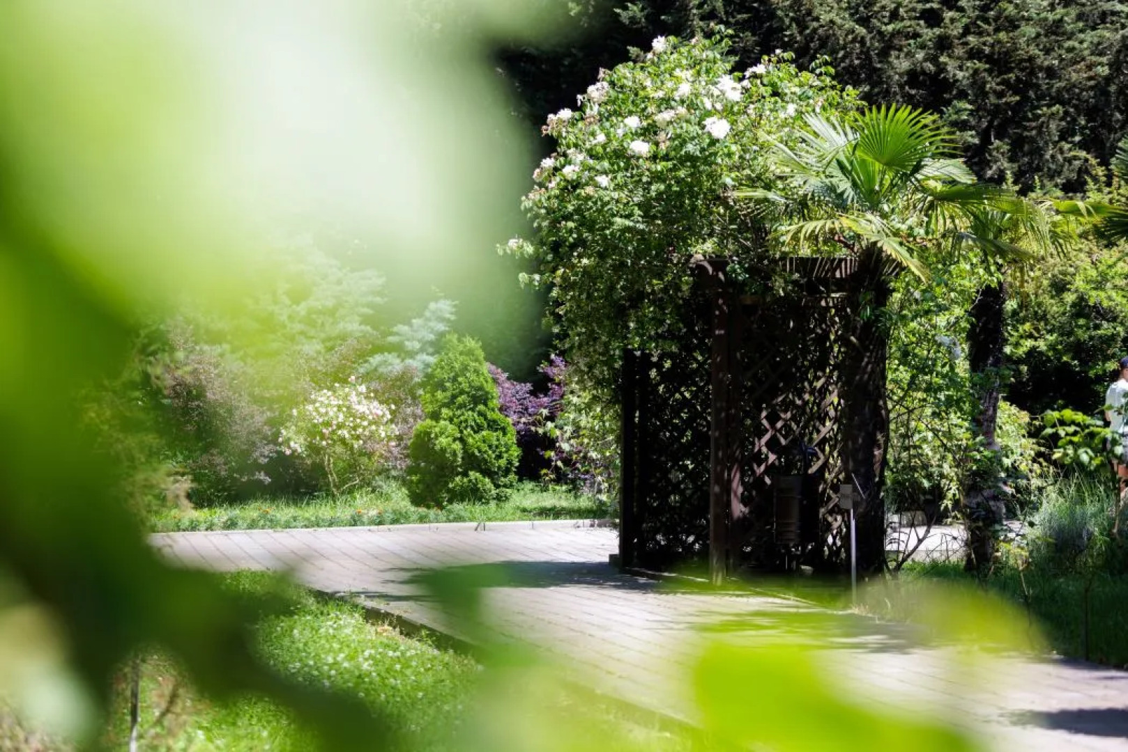 Пансионат Бургас