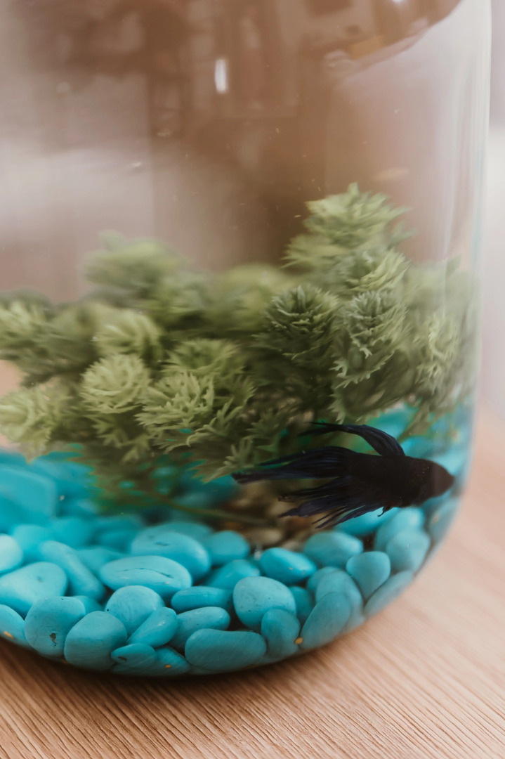 Бутик-отель #19