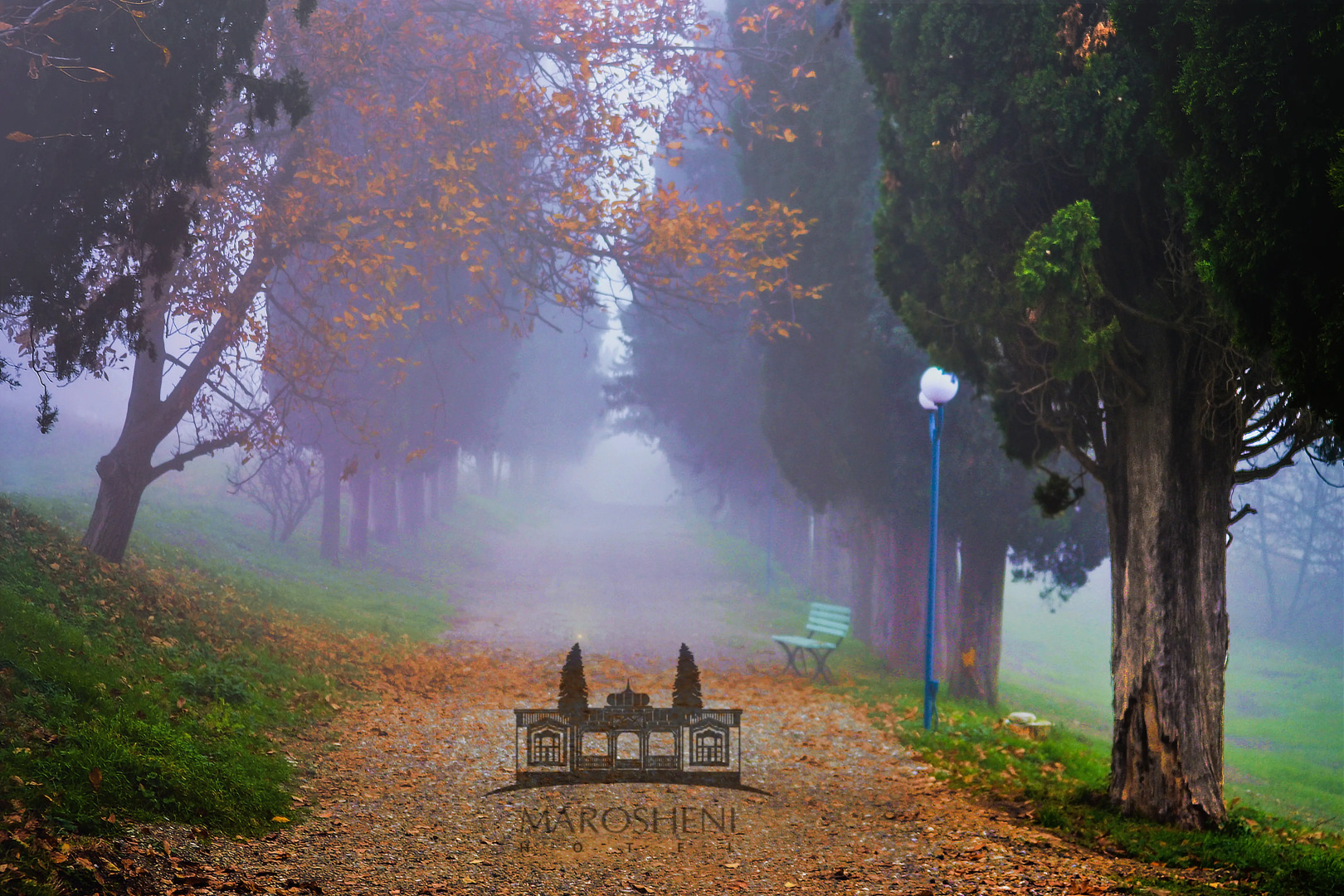 Отель Marosheni